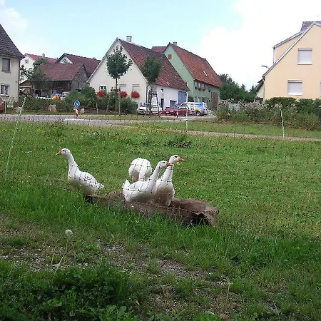 Ferienwohnung Mutschler